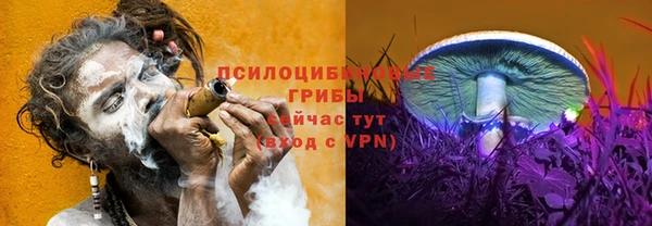 дурь Алзамай