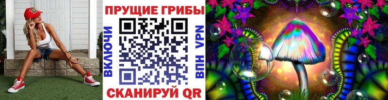 Псилоцибиновые грибы Psilocybe  Николаевск 